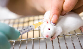 Serotonin može pogoršati simptome tinitusa