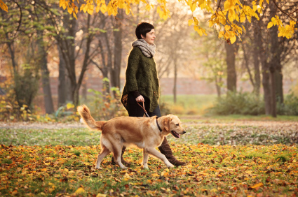 Šetnja sa psom pomaže kontroli krvnog tlaka i tjelesne težine