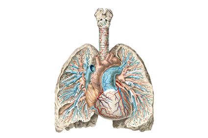 Slabija funkcija pluća povezana sa zatajivanjem srca