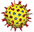 Što je rotavirus?