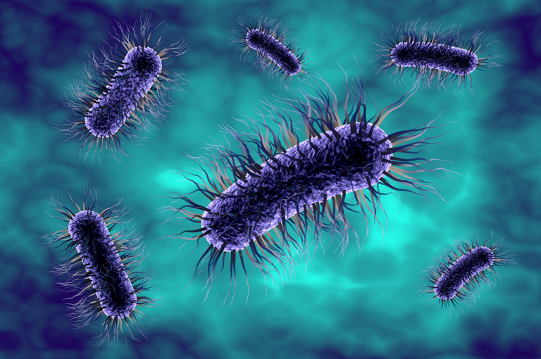 Superbakterija E. coli može živjeti u crijevu žena bez simptoma