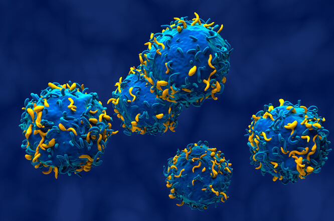 Terapija CAR T-stanicama omogućuje sigurnu trudnoću pacijenticama s autoimunim bolestima