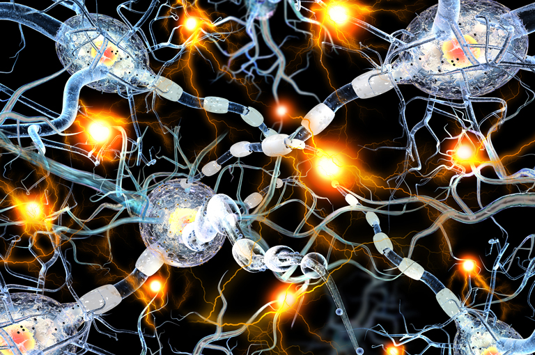 Veličina moždanih stanica povezana s kvocijentom inteligencije 