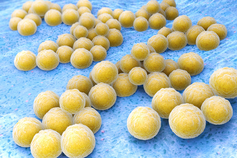 Vitamin B3 može pomoći u borbi protiv superbakterija?