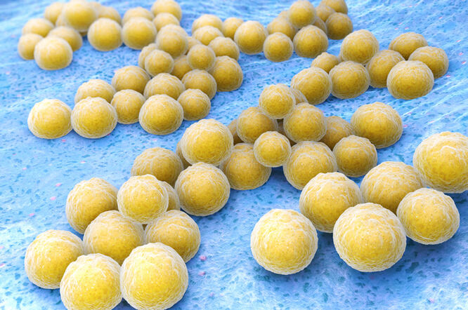 Vitamin B3 može pomoći u borbi protiv superbakterija?