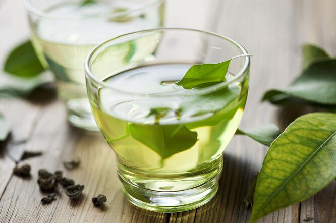 Zeleni čaj ima potencijal u liječenju mioma, endometrioze, PCOS-a i simptoma menopauze
