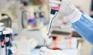 Željezo esencijalno za rast i preživljavanje beta stanica gušterače